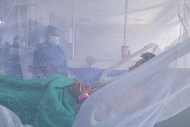 495058331 1200645245182776 2980440289677397241 n